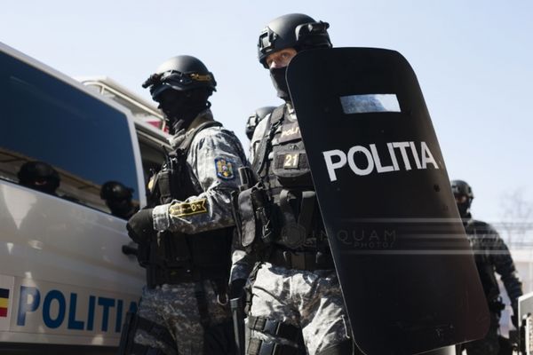 61 de percheziții în opt județe și București la o grupare specializată în obținerea ilegală de permise de conducere