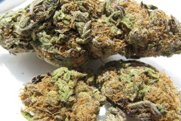 Tânăr de 19 ani din Dâmbovița, depistat cu un pachet de marijuana asupra sa 