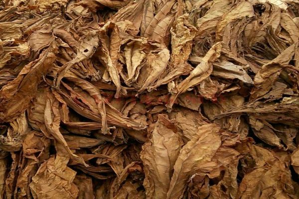 Peste 40 de tone de tutun, confiscate de inspectorii antifrauda