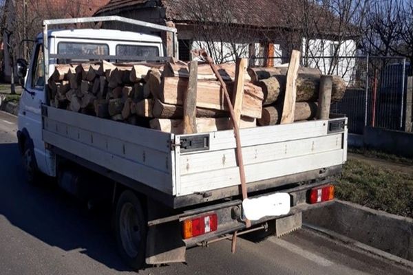 Dâmbovițean prins cu transport ilegal de lemne și fără permis