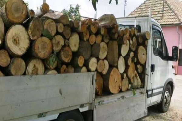 Un bărbat din Dâmbovița transporta lemne ilegal, dar conducea și fără permis și nu avea nici asigurare la mașină