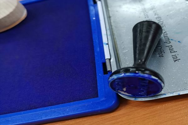 PSD a câștigat alegerile parlamentare în Dâmbovița, cu peste 45%