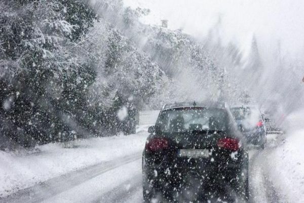 Cod galben de ninsori însemnate cantitativ 