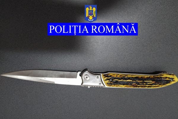 Mandat european de arestare pus în aplicare de poliţişti 