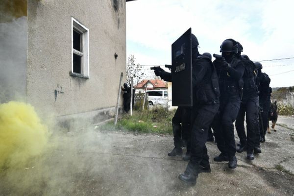 Lăutari acuzați că au primit ajutoare de la stat cu acte false în timpul pandemiei. Percheziții și în Dâmbovița