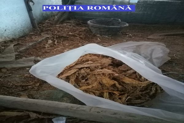 Percheziții în 6 județe și în București la suspecți de comercializare de tutun în mediul on-line