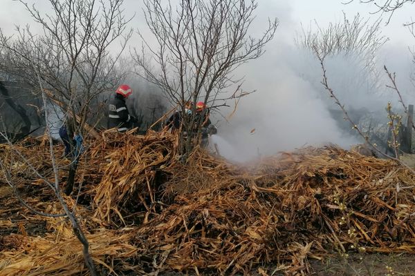 Foc scăpat de sub control, la Fierbinți. 1,5 tone de furaje, făcute scrum