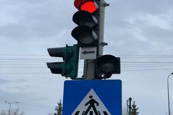 Pietonii ar putea fi amendați dacă se uită în telefon când traversează strada