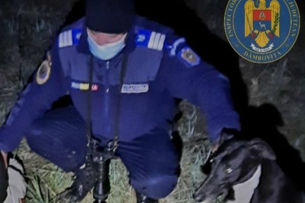 Adolescent din Dâmbovița, prins de jandarmi la vânătoare ilegală de iepuri