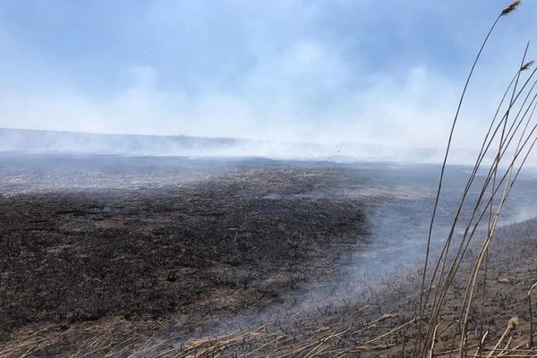 Garda de Mediu: Nu mai dați foc la miriști, deșeuri menajere sau vegetație uscată! 