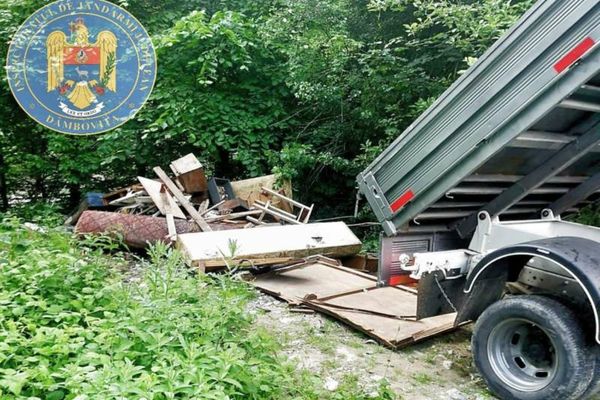 Dâmbovița. Jandarmii montani au depistat două persoane care descărcau o autoutilitară în pădure