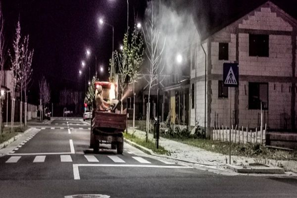 Titu: Au fost executate tratamente de dezinsecție terestră pentru combaterea insectelor