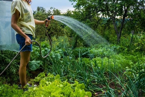 Dâmbovița. Debite reduse de apă din cauza temperaturilor crescute. Apelul operatorului către consumatori