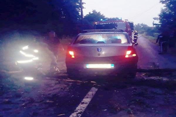 Dâmbovița. Copac căzut pe carosabil la Gura Ocniței. Traficul a fost blocat