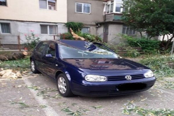 Copac căzut peste o mașină în municipiul Târgoviște