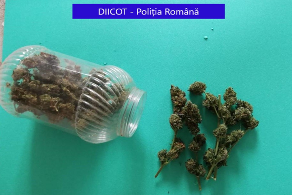 Percheziții la traficanți de droguri din Dâmbovița
