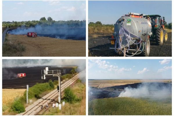 Dâmbovița. Incendiu puternic de vegetație în zona Hagioaica – Fusea