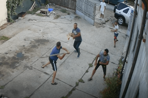 Ministrul Mediului, legat de cazul pădurarului din Dâmbovița băgat în spital de hoții de lemne: ”Voi urmări cu mare atenţie ancheta”