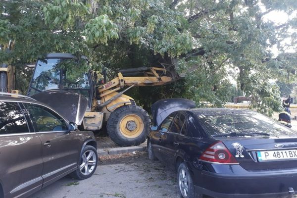 Un copac s-a prăbușit peste două mașini, în apropierea unei grădinițe, la Moreni