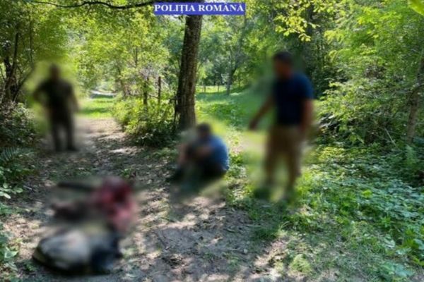 Dâmbovița: Doi braconieri, prinși cu un urs tranșat în mașină. Unul dintre ei a sărit cu un cuțit la vânătorii care i-au depistat