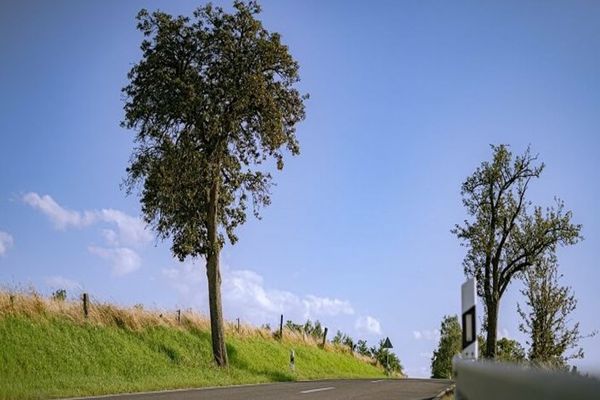 Restricții de circulație, duminică, pe drumuri din Prahova și Dâmbovița, pentru Road Grand Tour The Wall Pucioasa 2021