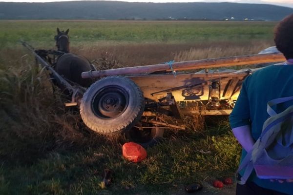 Accident mortal în Dâmbovița! Un căruțaș de 86 de ani a murit după impactul atelajului cu un autoturism