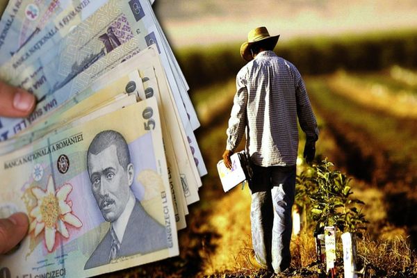 Plăți APIA în avans pentru fermierii care au depus Cereri unice de plată în anul 2021