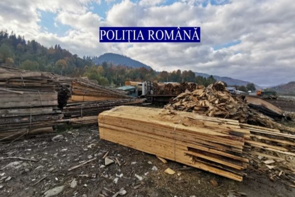 Acţiune comună a poliţiştilor din Dâmboviţa şi a Gărzii Forestiere Ploieşti pentru prevenirea şi combaterea tăierilor arborilor