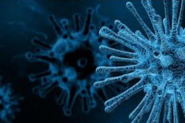 Bilanț coronavirus 9 decembrie: 1.032 cazuri noi și 74 de decese dintre care 2 anterioare