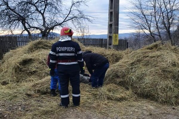 Dâmbovița. Două persoane, rănite grav, după ce o căruță încărcată cu fân s-a răsturnat
