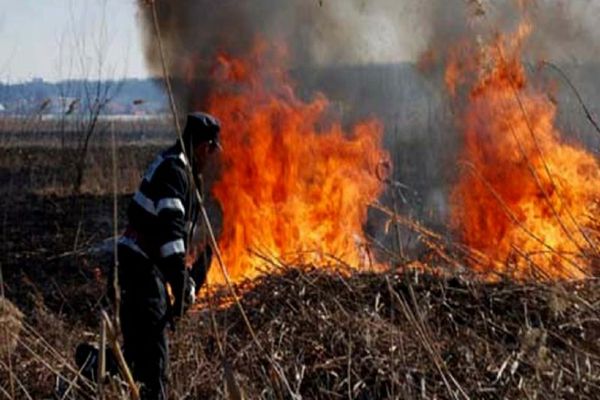 Dâmboviţa. Incendiu de vegetaţie uscată pe o suprafaţă de 25 de hectare, în zona Ludeşti