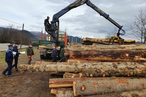 Material lemnos confiscat de poliţiştii din Dâmboviţa în urma unei acţiuni de control