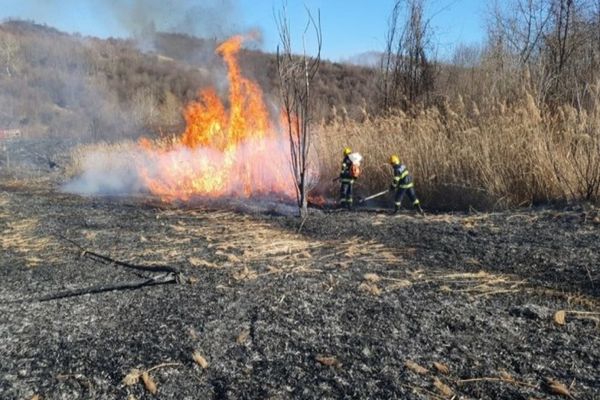  Incendiu pe 5 hectare, la granița dintre Prahova și Dâmbovița