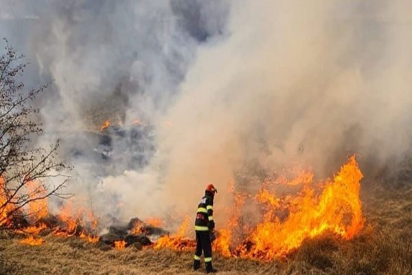 Dâmboviţa. Peste 60 de pompieri au intervenit pentru lichidarea a numeroase incendii de vegetație uscată