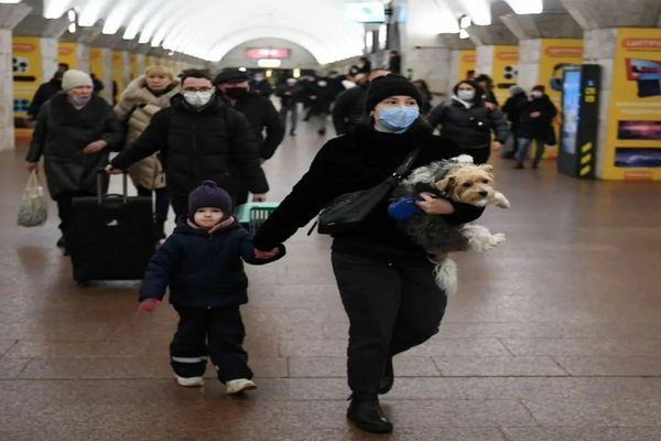 Derogări pentru intrarea pe teritoriul României a animalelor de companie din Ucraina