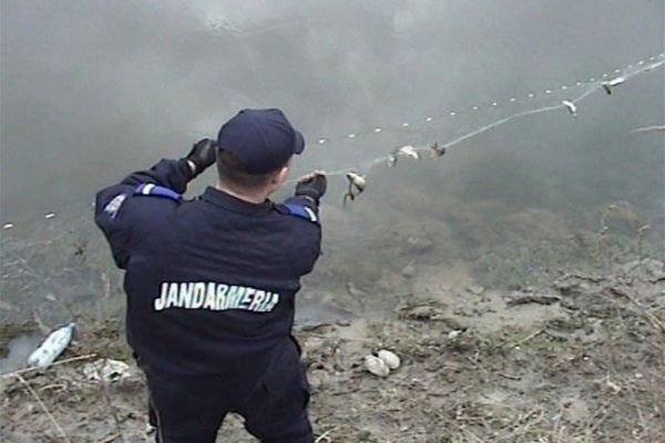 Jandarmeria Dâmbovița avertizează: Ce riscă pescarii care nu respectă legea