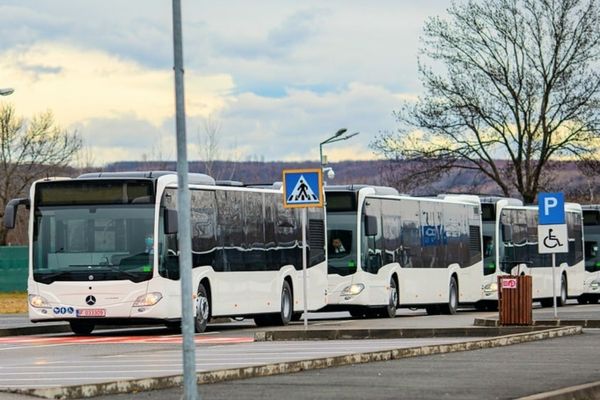 Aproximativ 9000 de pensionari târgovișteni vor beneficia de transport public gratuit