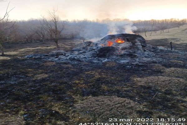 Incendiu de vegetație în Dâmboviţa. Pagubele au fost mari, anunță ISU Dâmbovița