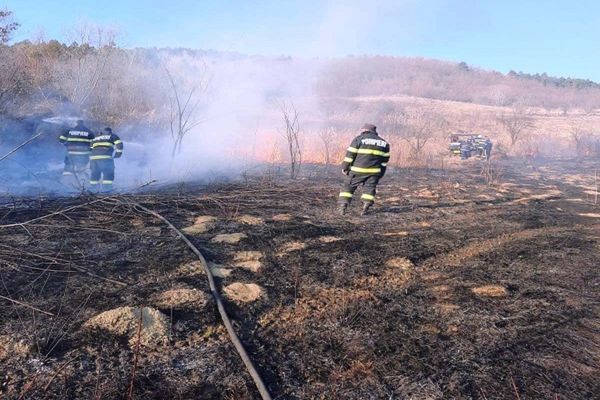 Dâmboviţa. Incendiile de vegetație uscată se extind. Peste 75 de hectare de teren arse într-o singură zi