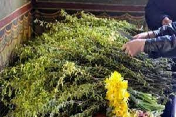 Floriile. Cele mai frumoase tradiţii de Florii. Ce trebuie să faci pe 17 aprilie pentru a avea noroc