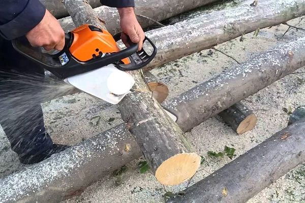 Accident grav de muncă într-o pădure din Dâmbovița! Un bărbat a decedat, iar altul a fost rănit