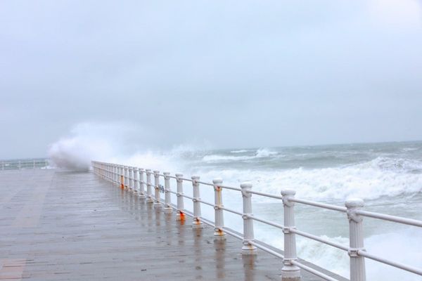 ANM: Atenţionare de cod galben. Vânt puternic în Oltenia, Muntenia şi Dobrogea