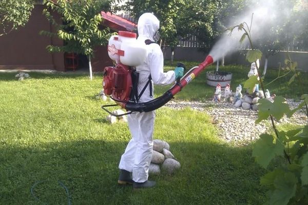 Dezinsecție la Târgovişte. Când va avea loc prima acţiune la sol 