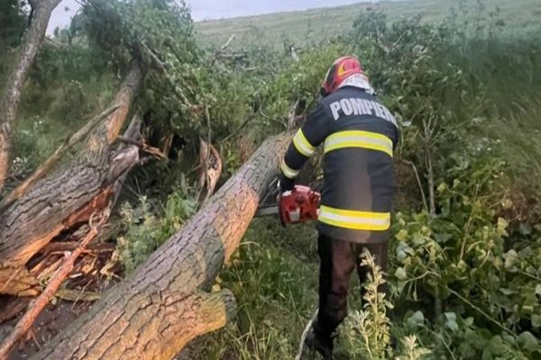 Dâmboviţa. Drumul către Mănăstirea Leaota, blocat din cauza unor copaci căzuți