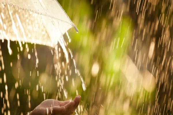 Dâmbovița. Ploi torențiale, grindină și vijelii până la noapte