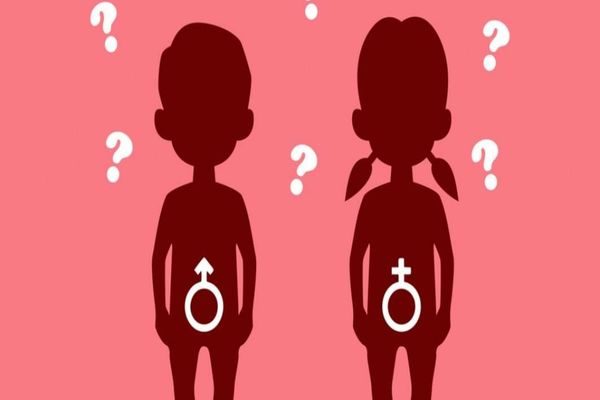 Educația sexuală va fi predată în școli, cu acordul scris al părinților, începând cu clasa a VIII-a