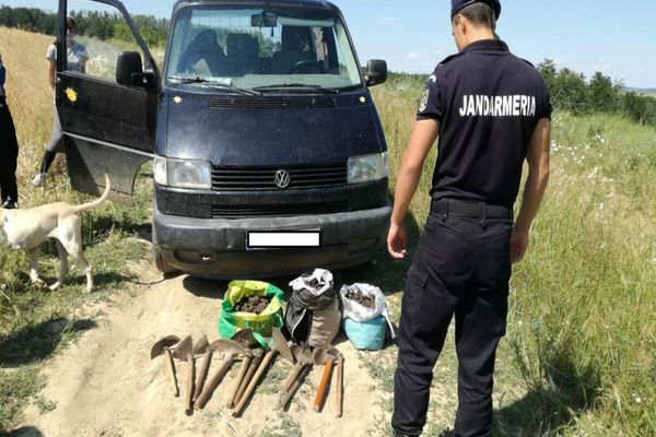Tânăr din Giurgiu prins de jandarmii dâmboviţeni în timp ce recolta trufe în mod ilegal