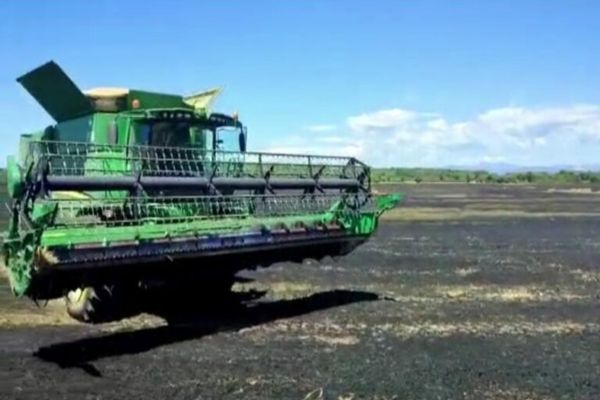 Dâmboviţa. Incendiu violent într-un lan de grâu pe o suprafaţă de 41 hectare