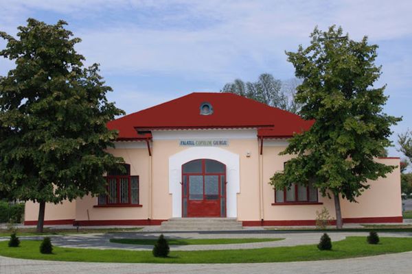 Palatele Copiilor vor trece în administrarea autorităților locale