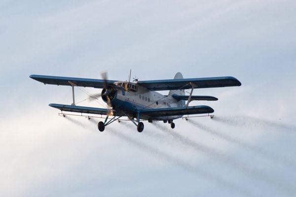 Acțiune de combatere a insectelor prin pulverizare aeriană în Târgovişte